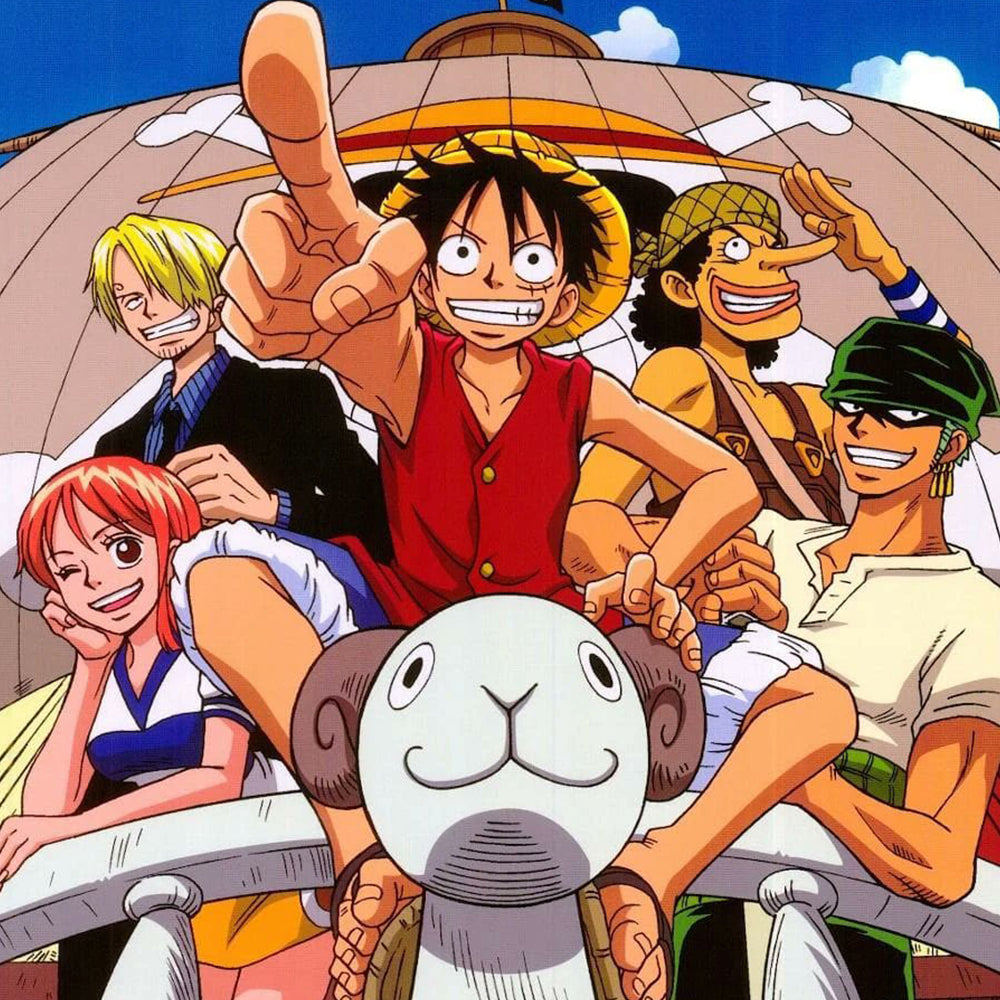 Japanese One Piece